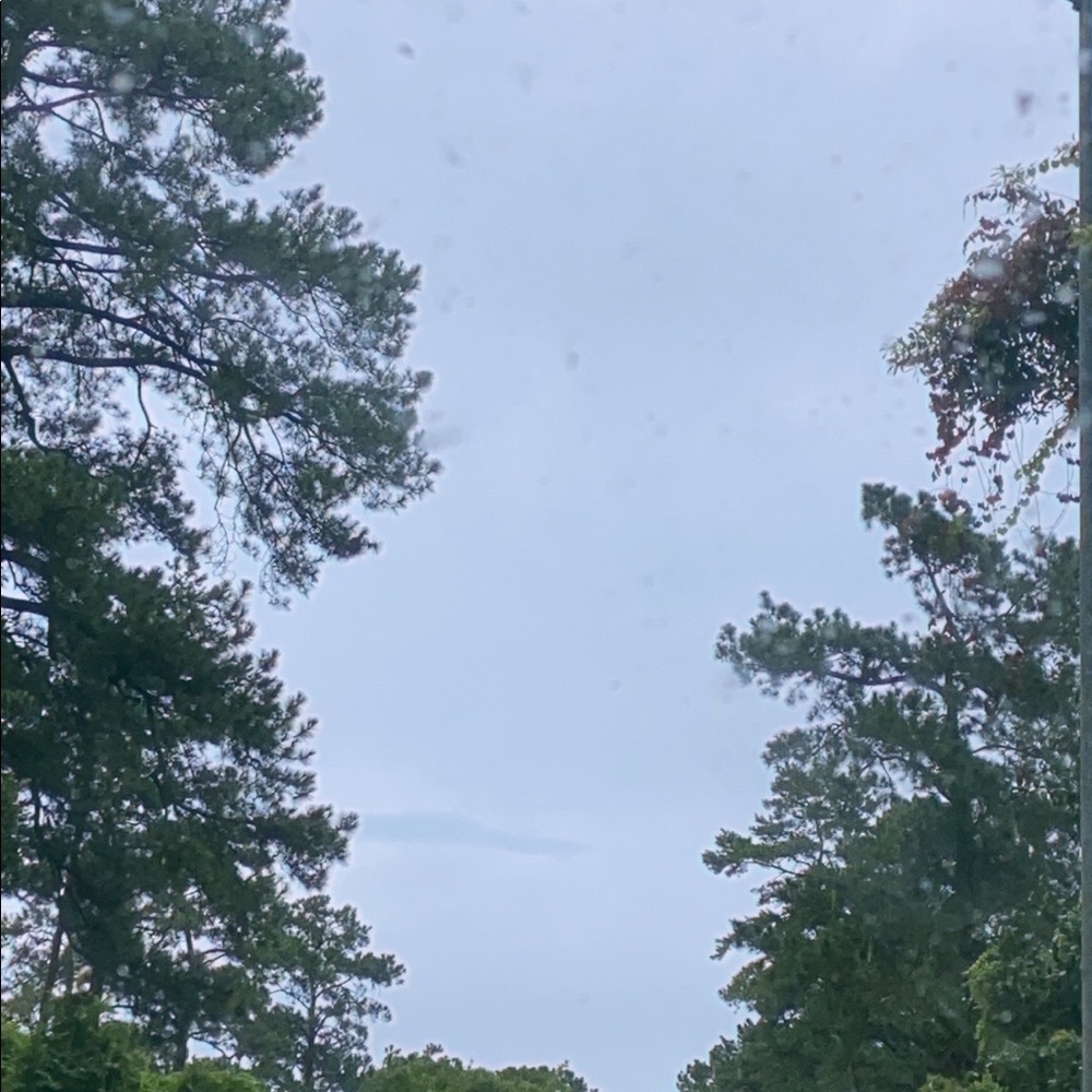 Meet your Posher, Charlotte